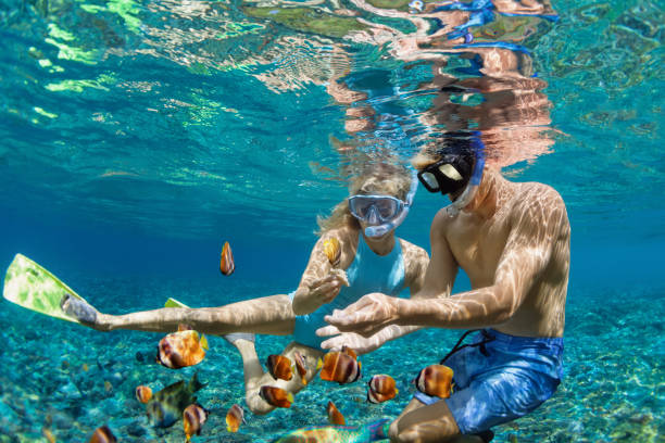 Picture of Snorkeling Underwater
