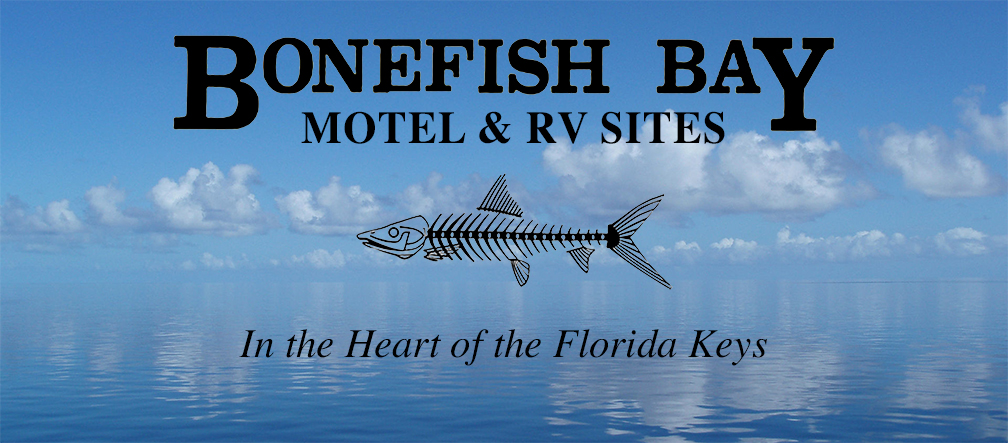 Image of the Bonefish Bay Logo